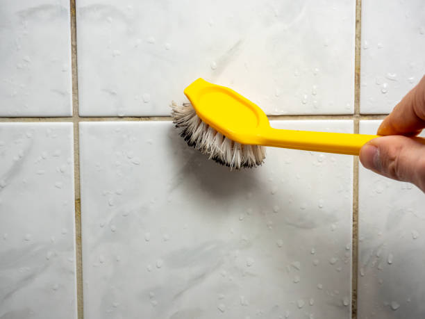 Best Mold Remediation Services  in Knob Noster, MO